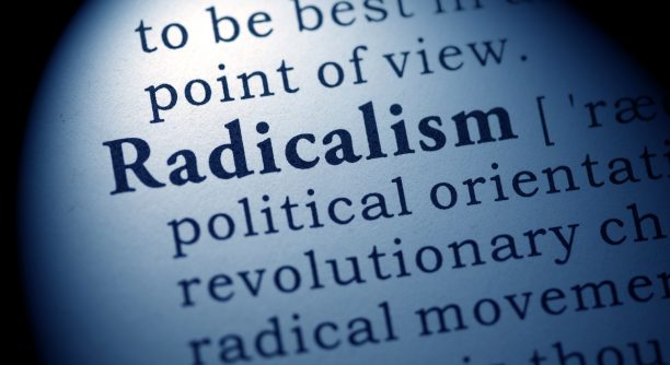 Fake Dictionary, Dictionary definition of the word radicalism.